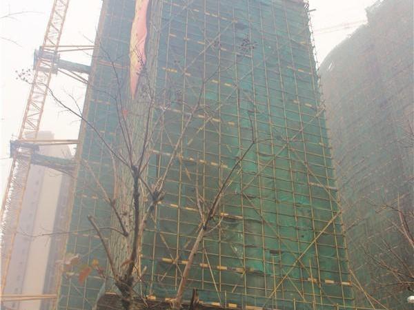 峻廷湾·盛桦台实景图