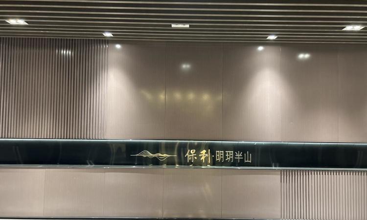 保利·明玥半山实景图