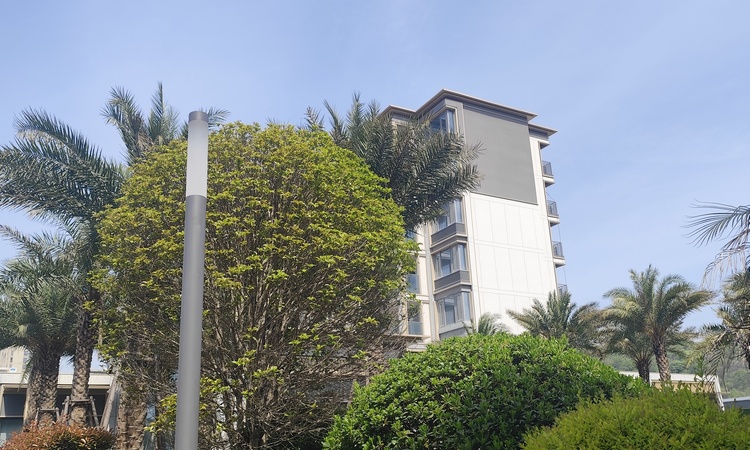 滨江翠栖府施工进度图