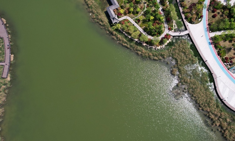 银丰国泰江悦周边配套图