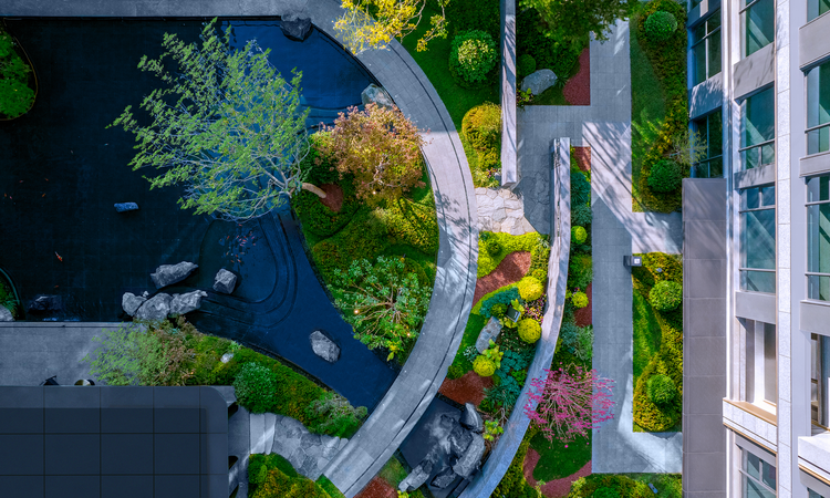 绿城凤鸣朝阳效果图