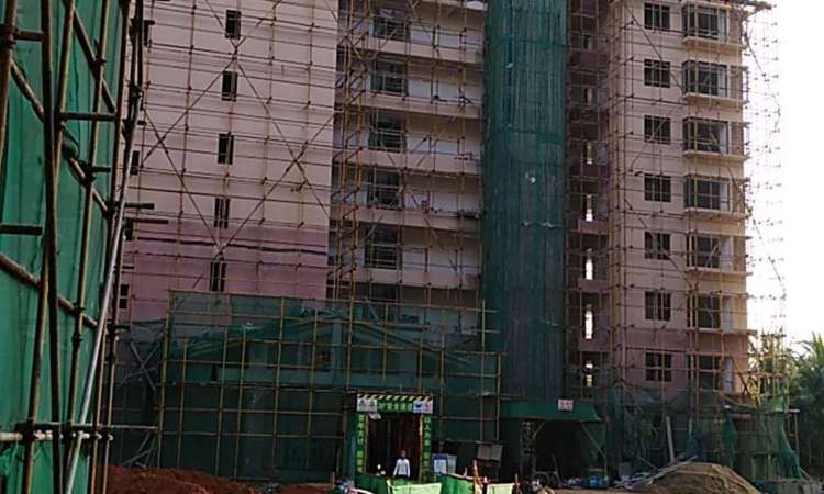 宝安兴隆椰林湾施工进度图