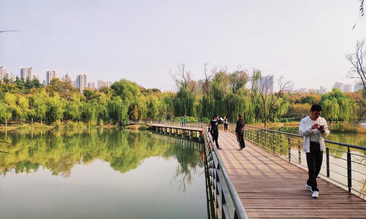 碧桂园云顶周边配套图