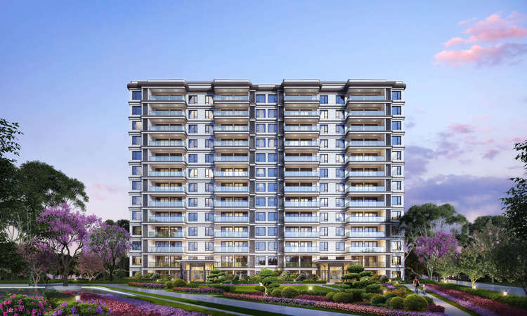 树高·上院效果图