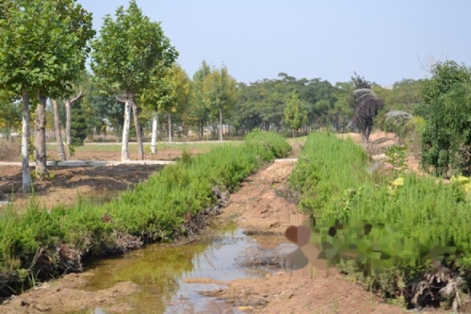 东方华城周边配套图