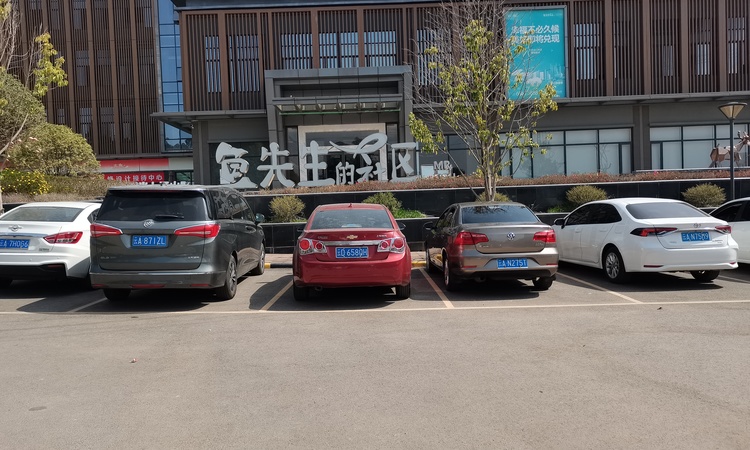 鱼先生的社区施工进度图