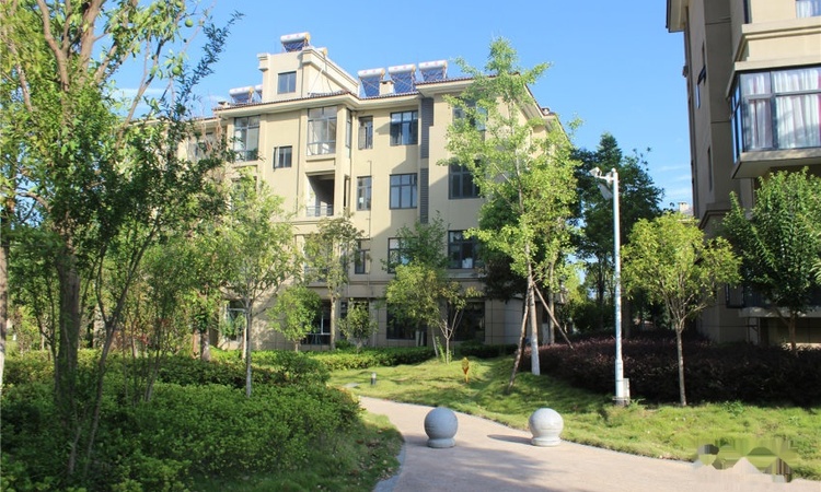 全洲桃源实景图