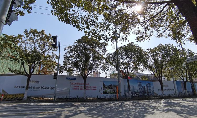 金融街奉贤金悦府实景图