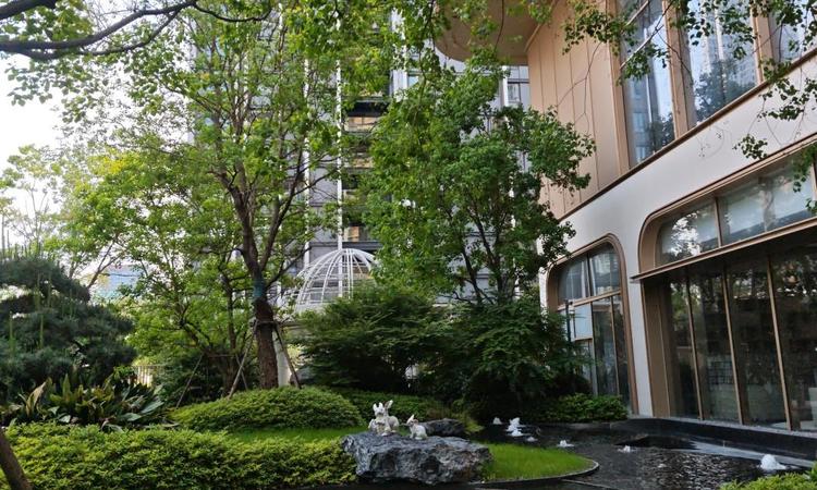 中建壹品汉芯公馆实景图