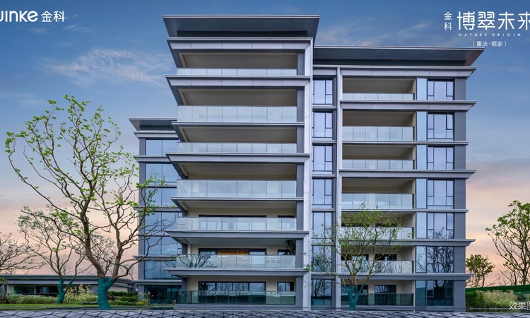 金科·博翠未来实景图