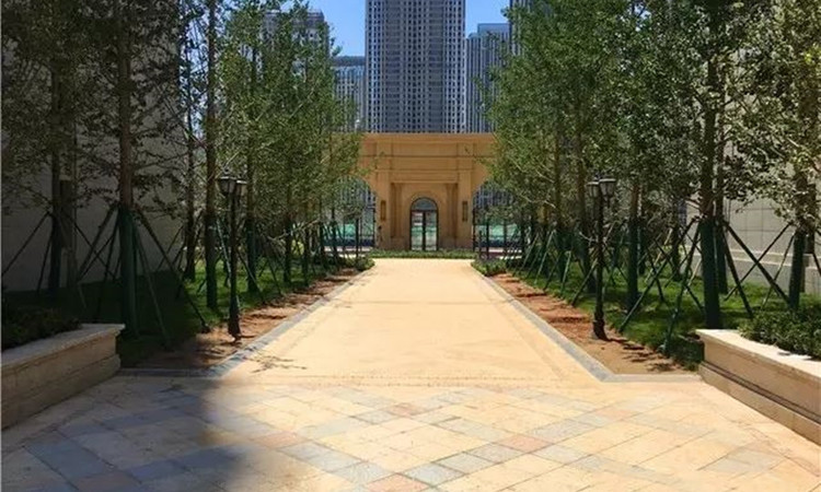 保利天禧实景图