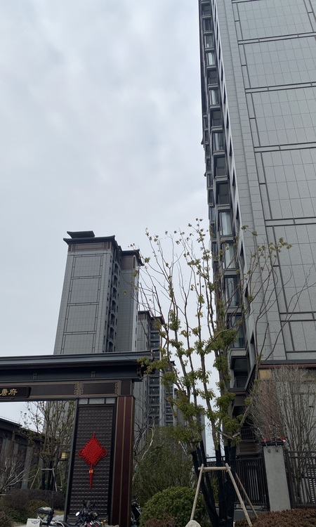 建发观唐府施工进度图