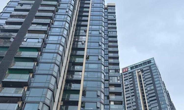 深业鹤塘岭花园实景图