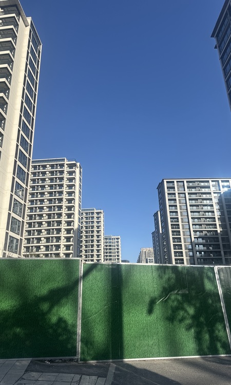 越秀·星颂府施工进度图