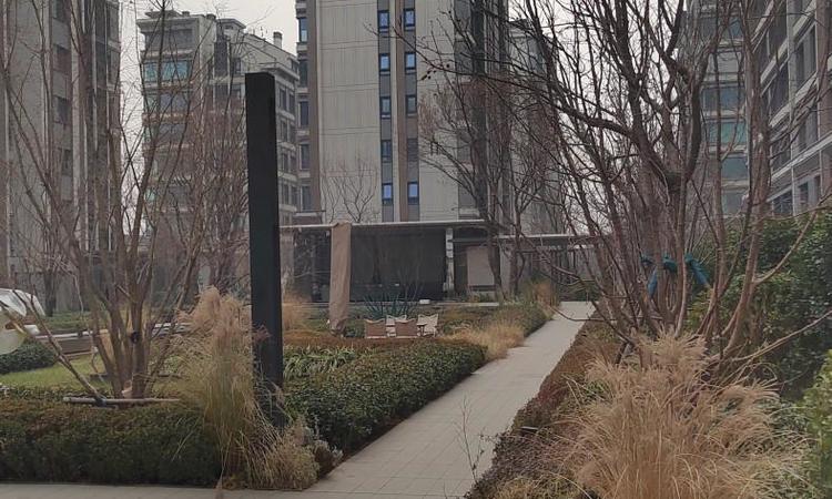 璀璨公元实景图