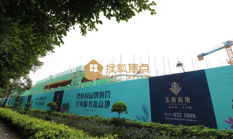 东新高地实景图