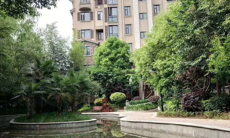 鑫磊森林湖实景图