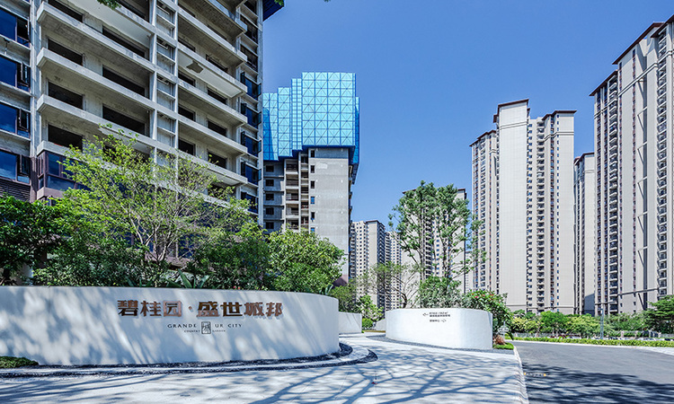 碧桂园盛世城邦实景图