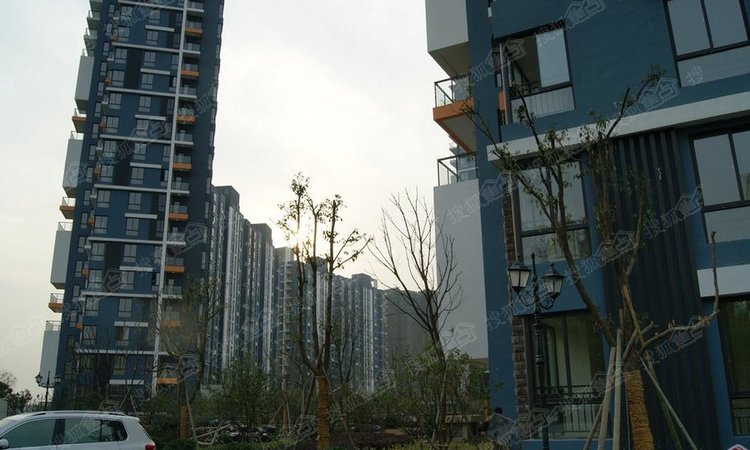 华强城·赛纳丽城·滨江实景图