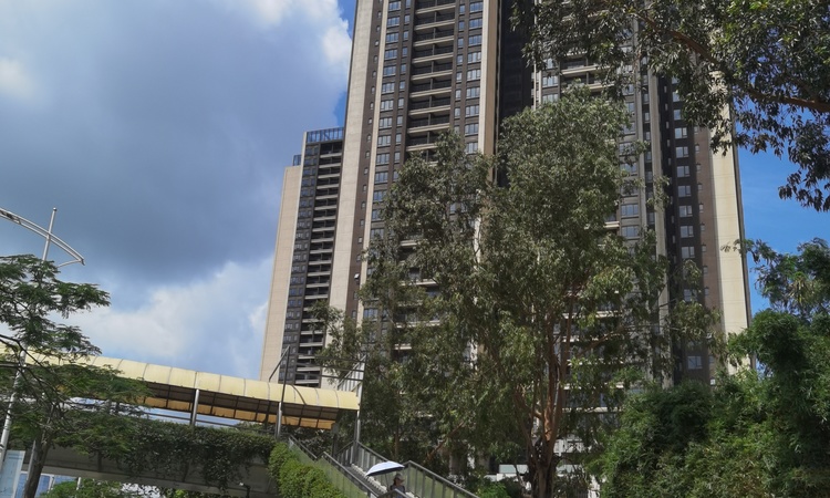 电建洺悦鹏著施工进度图