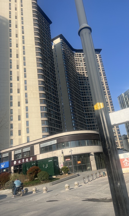 金地中心菁华施工进度图