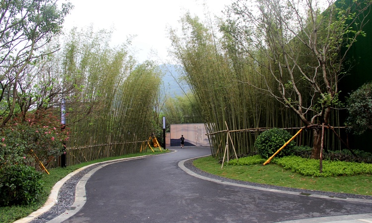 阳光城·丽景湾实景图