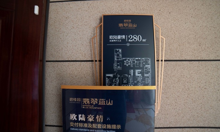 碧桂园·翡翠蓝山样板间