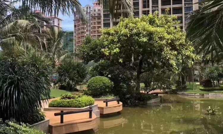碧桂园澜江华府施工进度图