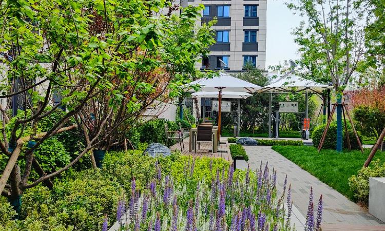 中绿东岳府实景图