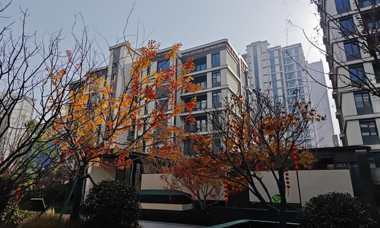 保利·维明天珺实景图