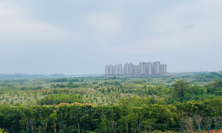 长房湘江府周边配套图