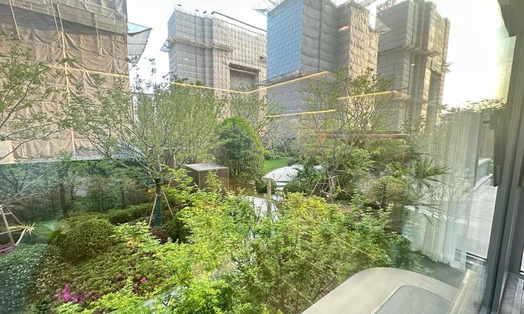 大华·公园柏翠施工进度图