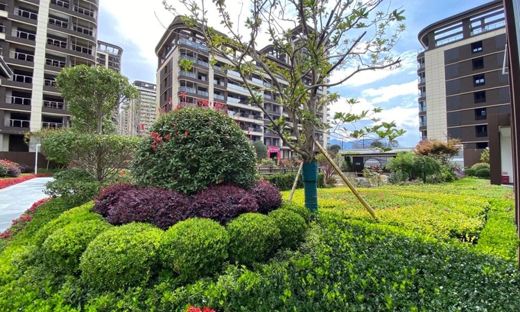 丽江时光实景图