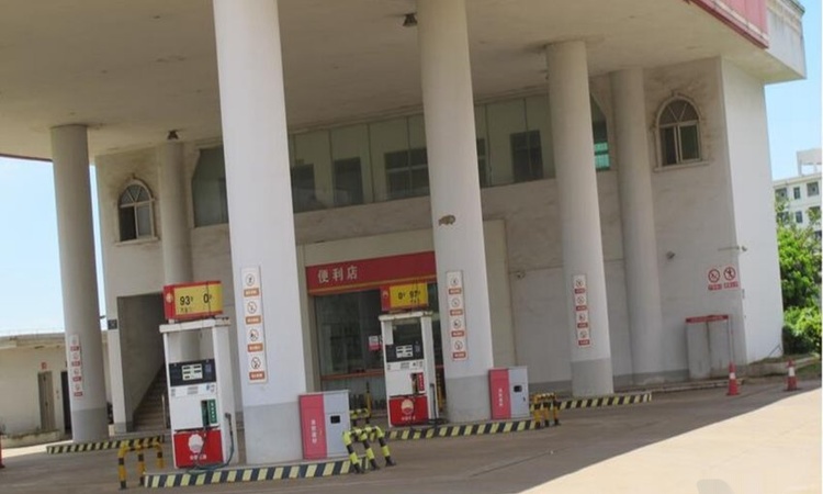 青龙·碧海金珠实景图