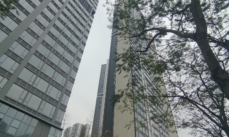 仁恒公园世纪三期实景图