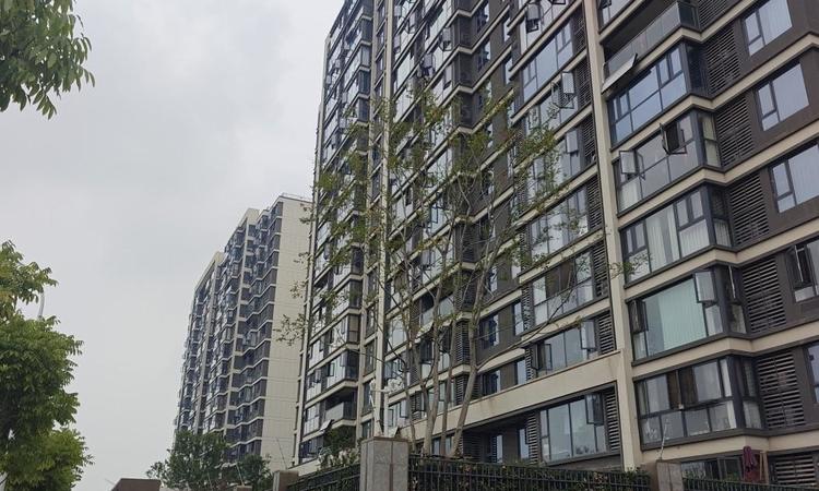 绿都中央公园二期实景图
