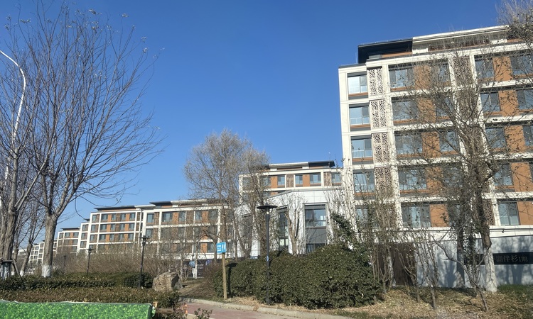 中新·半湖伴杉施工进度图