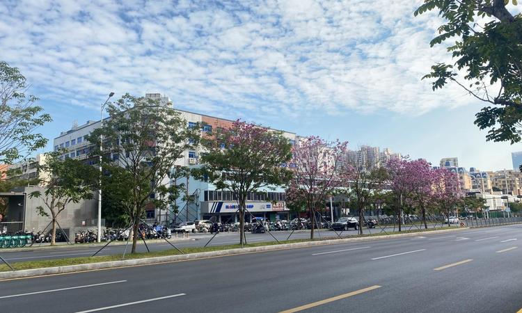 天源华府周边配套图