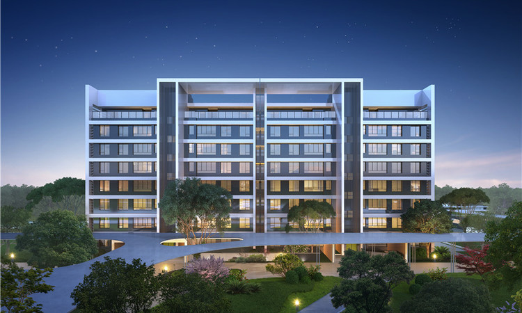 曲江城市树效果图