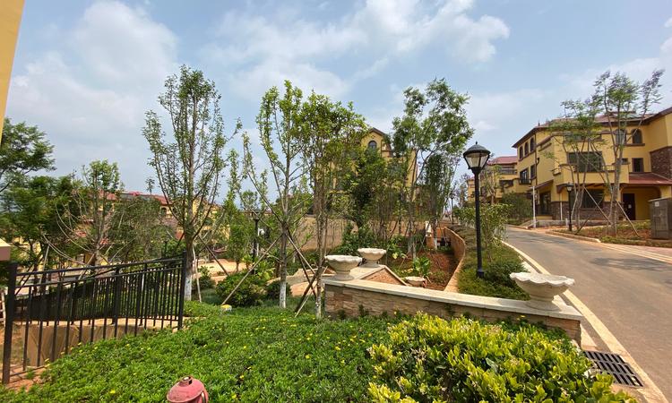 依云溪谷实景图