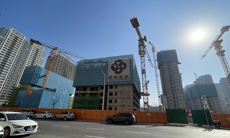 远洋瑞林宸章施工进度图