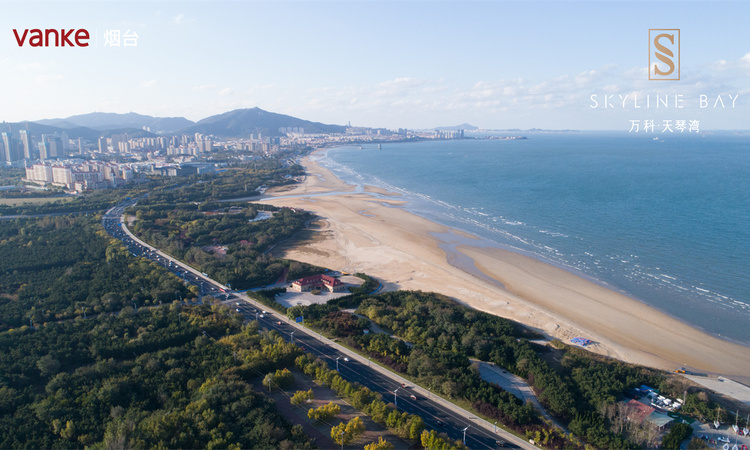 万科·天琴湾实景图