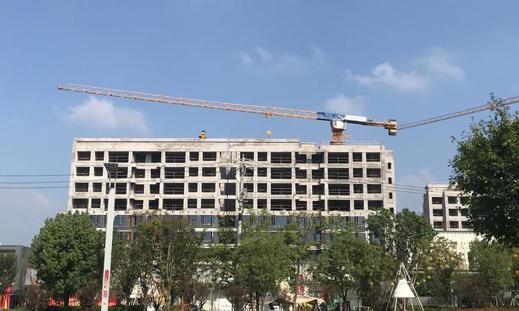 万科·璞园施工进度图