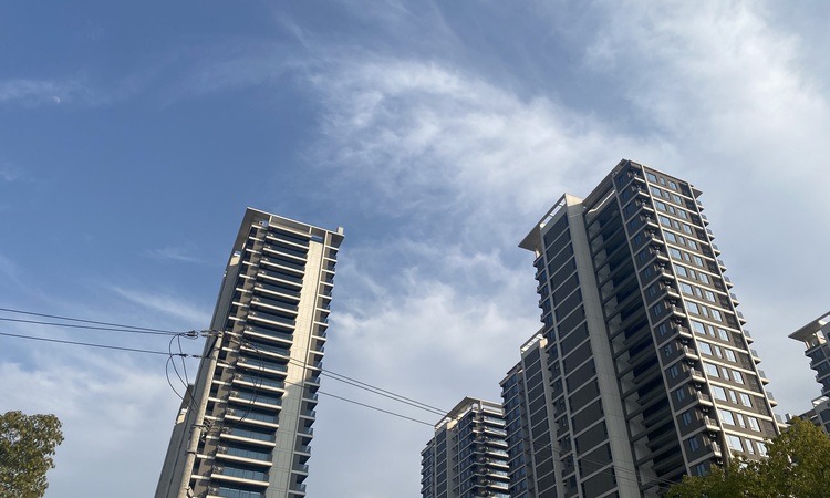 宁望府施工进度图