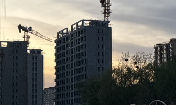 金誉府施工进度图