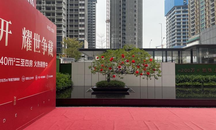 德懿府施工进度图