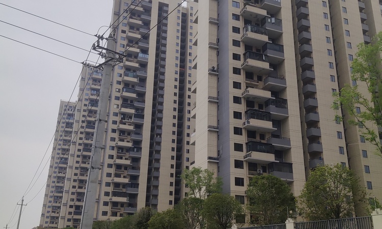 上置绿洲雅宾利施工进度图