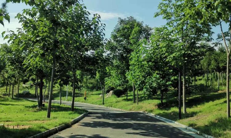 绿城·郑州桃花源周边配套图