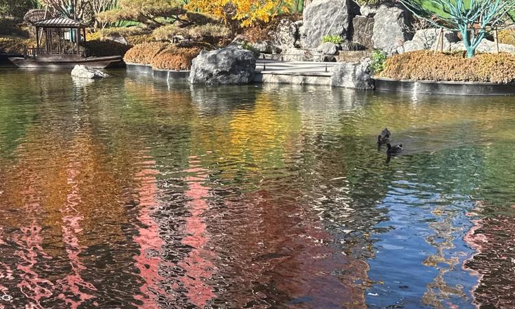 北京国贤府实景图