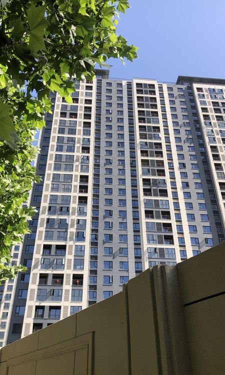 金地·格林格林施工进度图